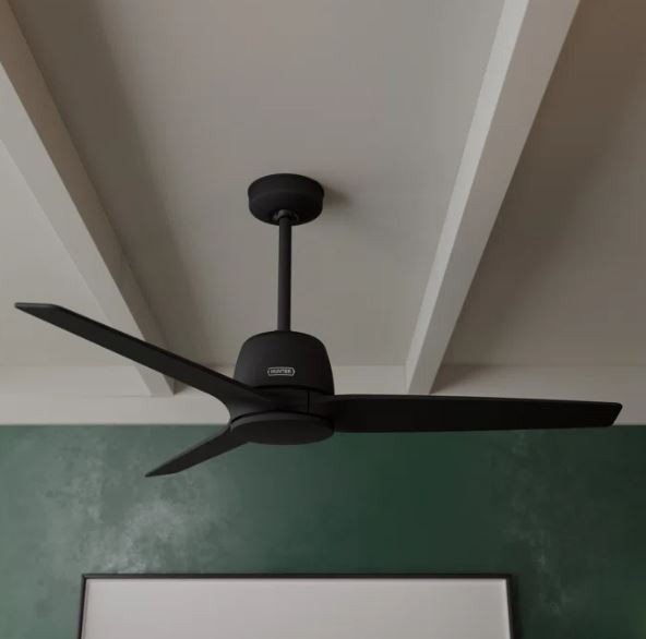 Malden 52" Ceiling Fan with Handheld Remote